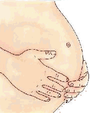 Zwanger krabbels