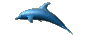 Dolfijnen krabbels