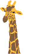 Giraffen krabbels