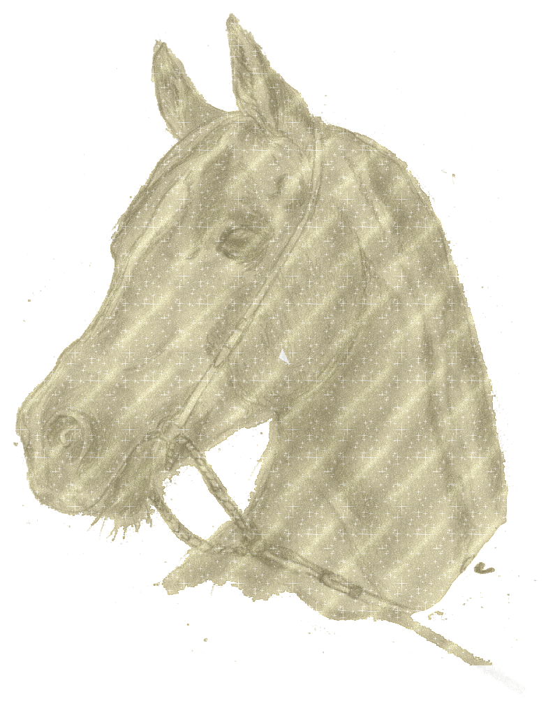 Paarden glitter krabbels