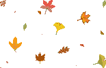 Herfst krabbels